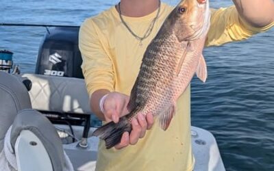 Redfish Bite is On!